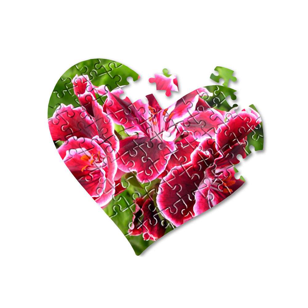 Individuelle Puzzles gestalten und drucken | online Puzzle Druckerei